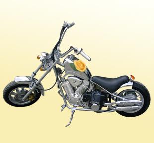 une pokette harley c est bizzard mes sa existe.