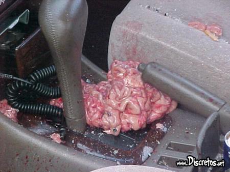 a ses gore la cervelle!!!!