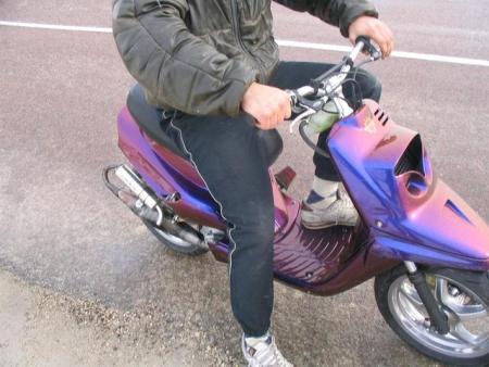 scoot cameleon dar dar!