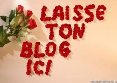 nesite pas lesse to blog ici jirai faire un tou et lacher des com